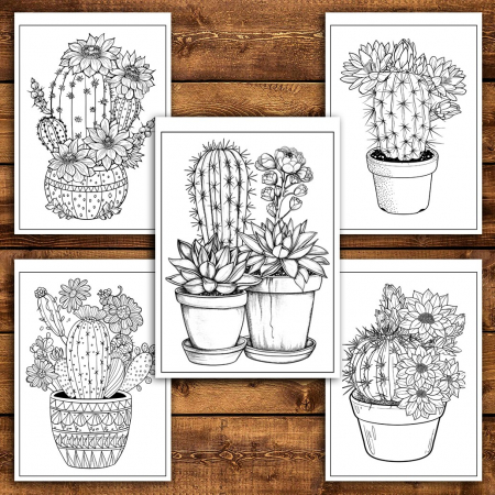 Carte de colorat pentru relaxare si antistres, 50 de ilustratii, Cactusi - Volumul I, 106 pagini [4]