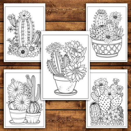 Carte de colorat pentru relaxare si antistres, 50 de ilustratii, Cactusi - Volumul I, 106 pagini [3]