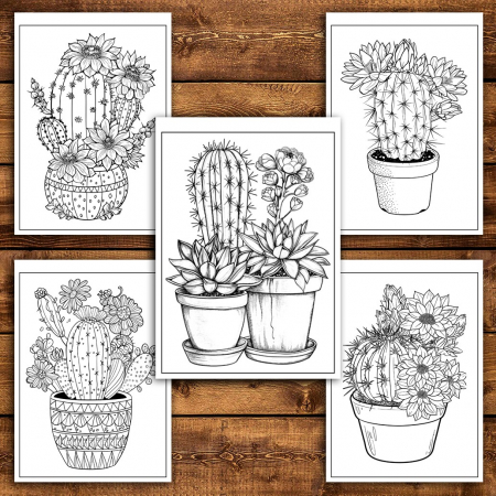 Carte de colorat pentru relaxare si antistres, 50 de ilustratii, Cactusi - Volumul I, 106 pagini [4]