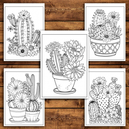 Carte de colorat pentru relaxare si antistres, 50 de ilustratii, Cactusi - Volumul I, 106 pagini [3]
