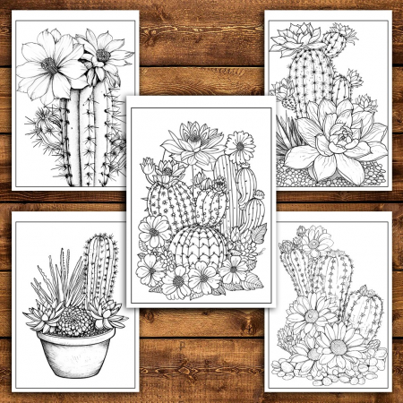 Carte de colorat pentru relaxare si antistres, 50 de ilustratii, Cactusi - Volumul I, 106 pagini [5]