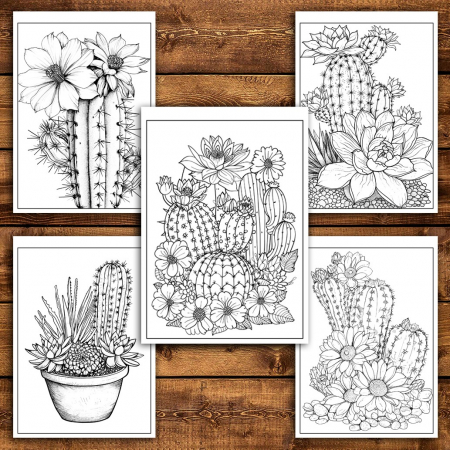 Carte de colorat pentru relaxare si antistres, 50 de ilustratii, Cactusi - Volumul I, 106 pagini [5]