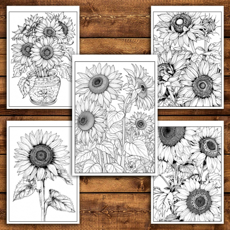 Carte de colorat pentru relaxare si antistres, 50 de ilustratii, Floarea Soarelui, 106 pagini [5]
