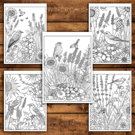 Martisor de colorat, 40 de ilustratii format A5, carte de colorat cu spira metalica, model: Frumusetile Naturii [3]