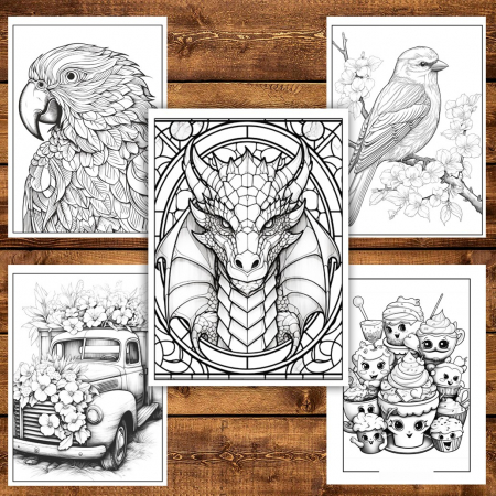 Mega cartea de colorat pentru relaxare si antistres, un mix de 100 de ilustratii, 206 pagini [5]