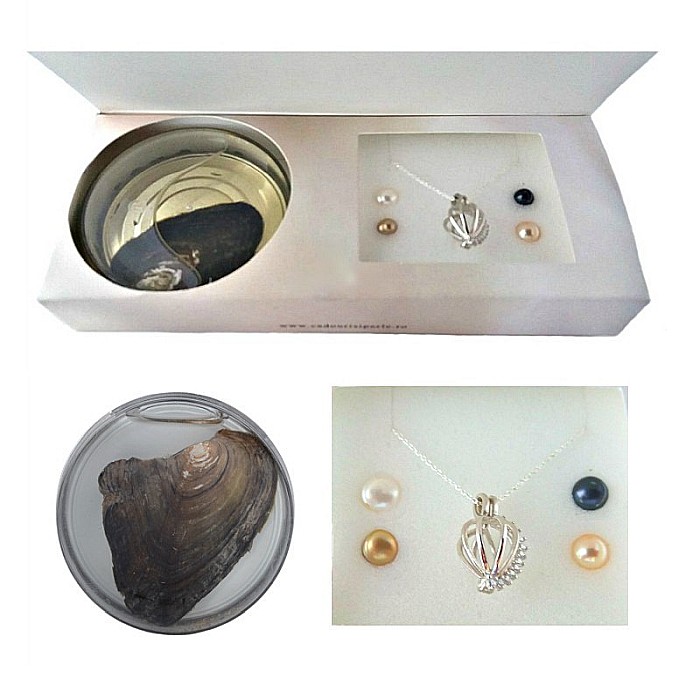 Perla Surpriza 1 [2]