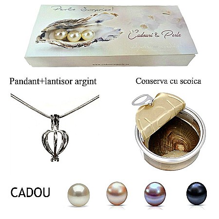 Best Sellers - Perla Surpriza 1