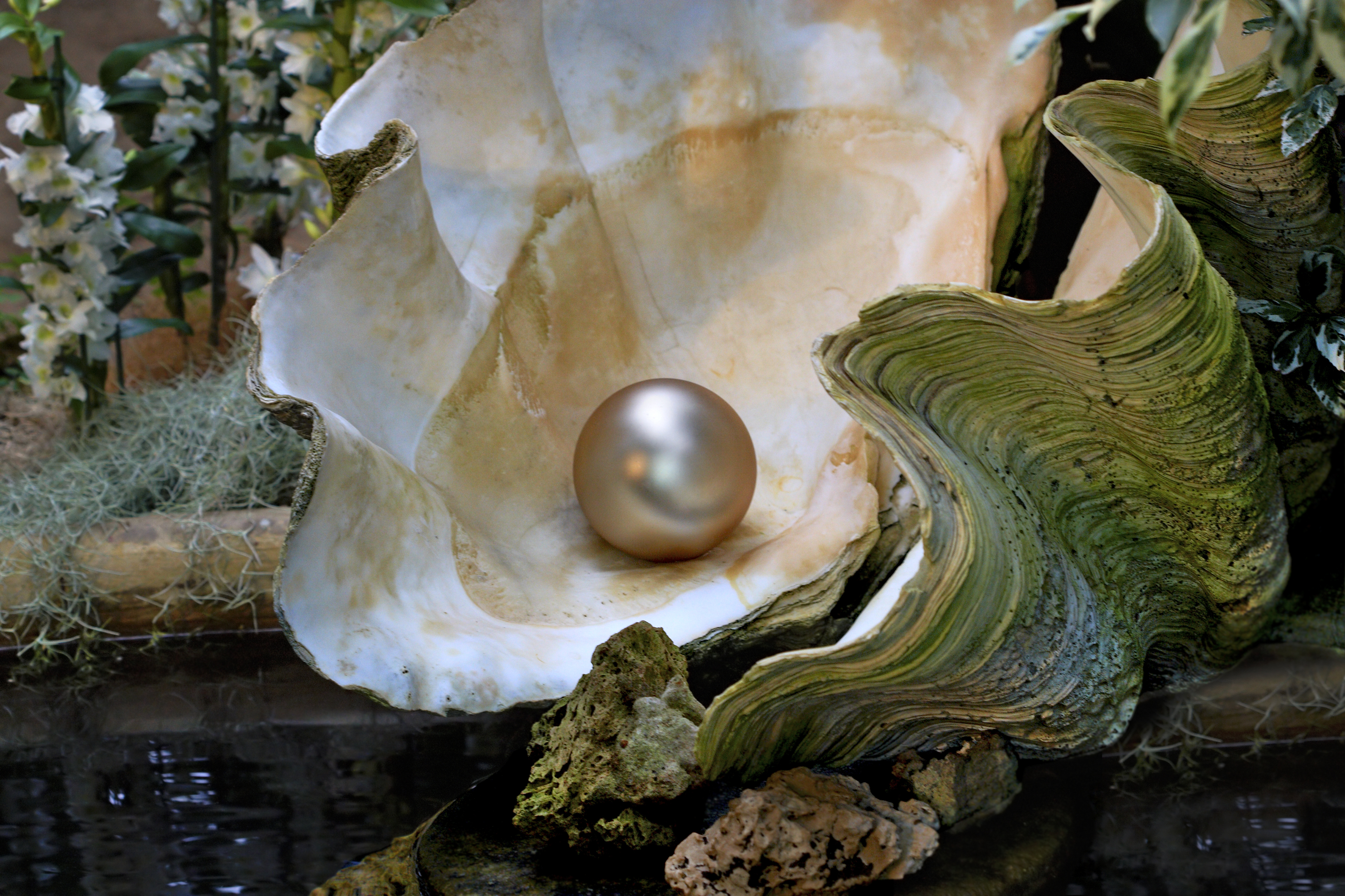 perle edison