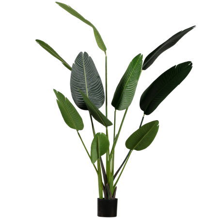 Obiecte Decorative - Planta artificiala Strelitzia, poliester, verde, 164 x 96 x 63 cm, WOOOD 373819-G