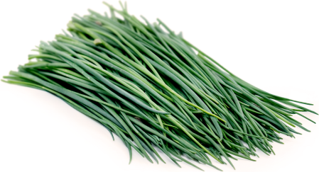 VERDETURI & PLANTE AROMATICE - Chives proaspăt – plantă aromatică la caserolă 30g