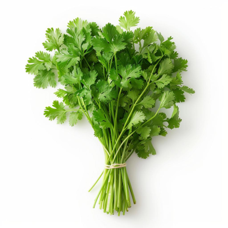 VERDETURI & PLANTE AROMATICE - Coriandru proaspăt – plantă aromatică la caserolă 30g
