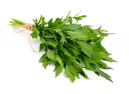 VERDETURI & PLANTE AROMATICE - Leuștean proaspăt – verdeață aromată la legătură