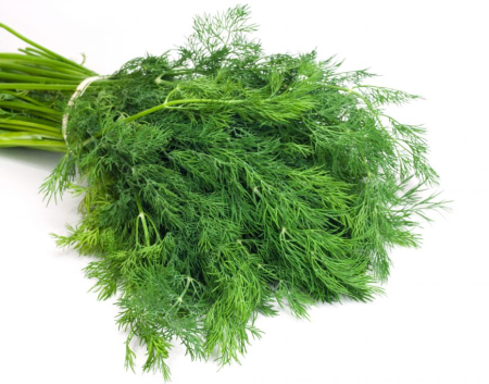 VERDETURI & PLANTE AROMATICE - Mărar proaspăt – verdeață aromată la legătură
