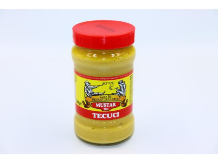 CONDIMENTE - mustar-de-masa-tecuci-280g