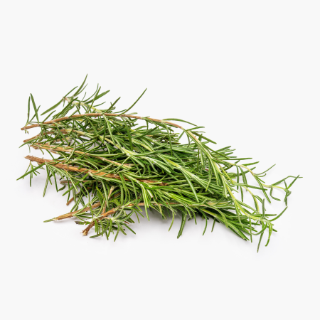 VERDETURI & PLANTE AROMATICE - Rozmarin proaspăt – plantă aromatică la caserolă 30g
