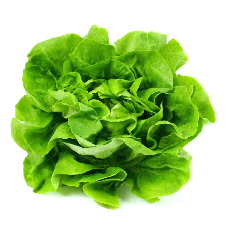 SALATE - Salată verde proaspătă – frunze fragede la bucată