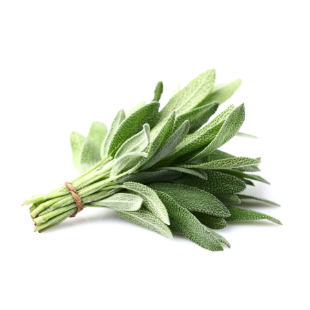 VERDETURI & PLANTE AROMATICE - Salvie proaspătă – plantă aromatică la caserolă 30g