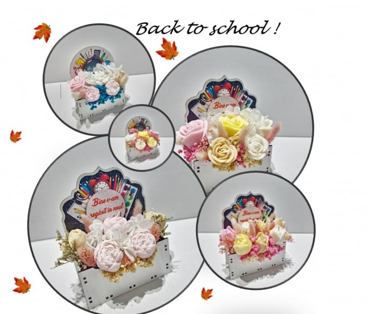 > > > Back to School < < <