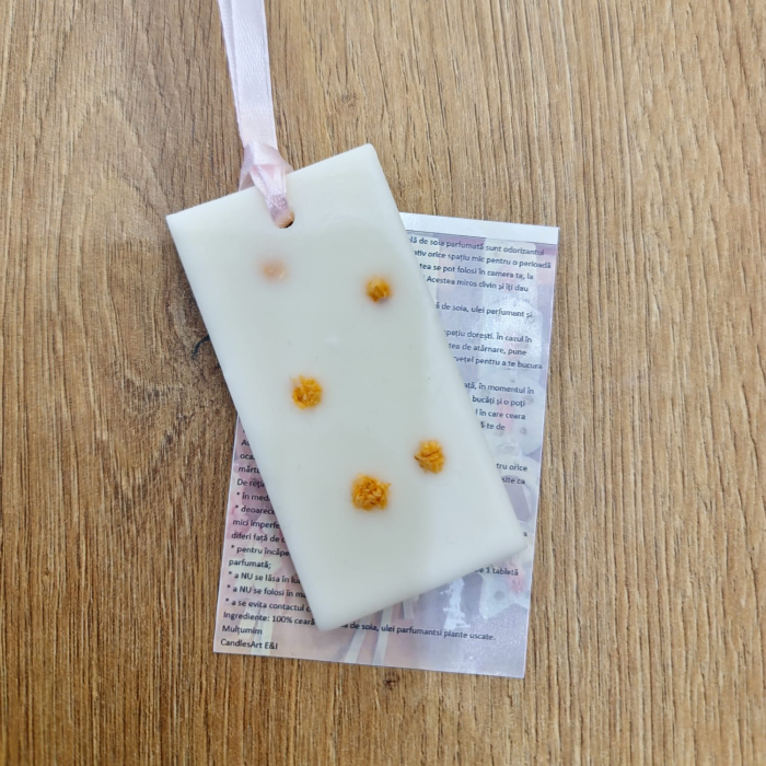 Odorizant dulap #08 [1]