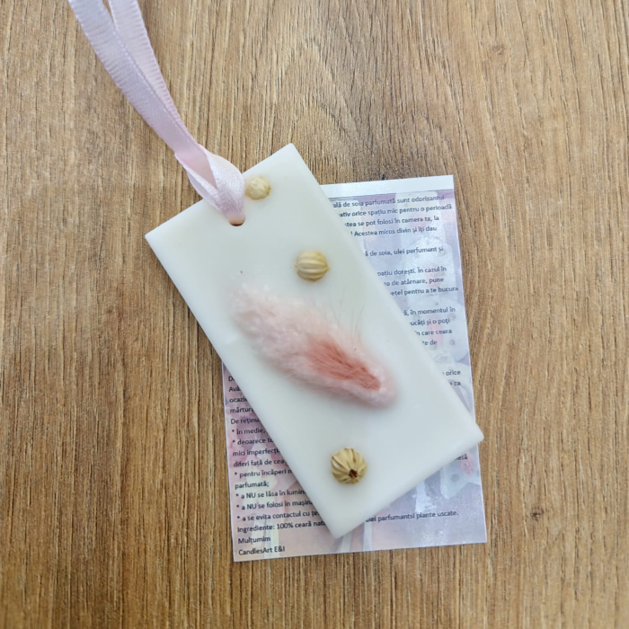 Odorizant dulap #10 [1]