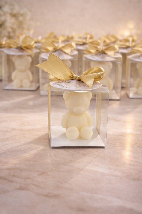 Marturie Botez Ursulet [2]