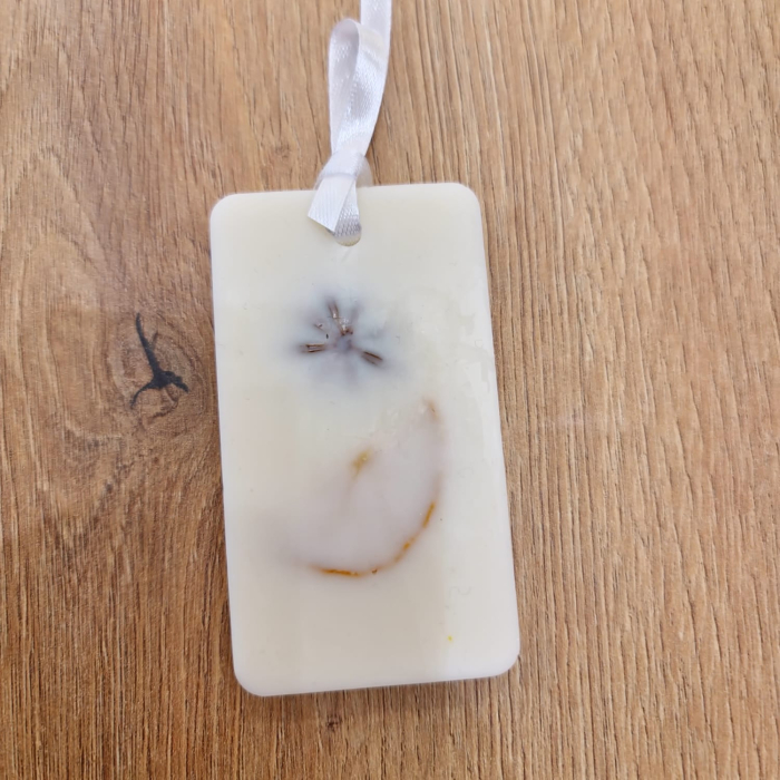 Odorizant Dulap 03 [1]