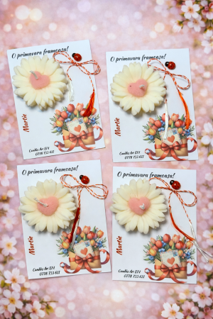 Primavara 2026 - Martisor - Martisor 2026 - V