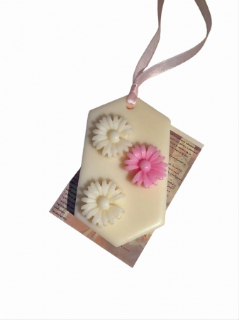 Odorizante - Odorizant Dulap #01