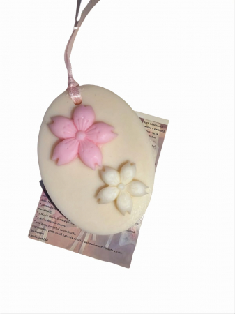 Odorizante - Odorizant Dulap Haine #3