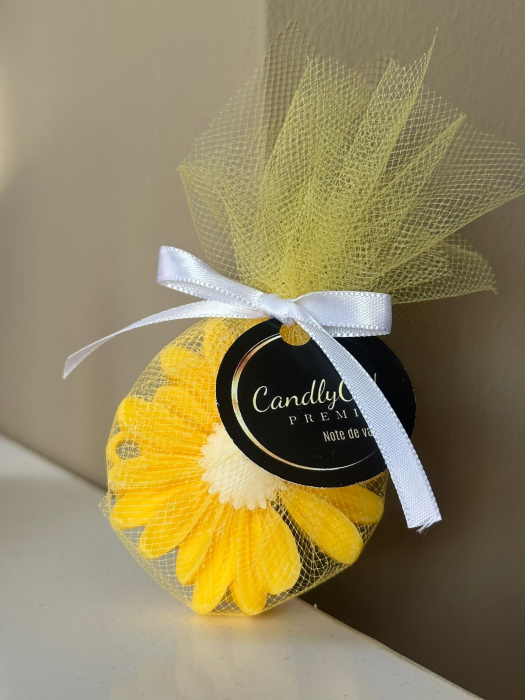 Mărturie Daisy Galben / Cadou [3]