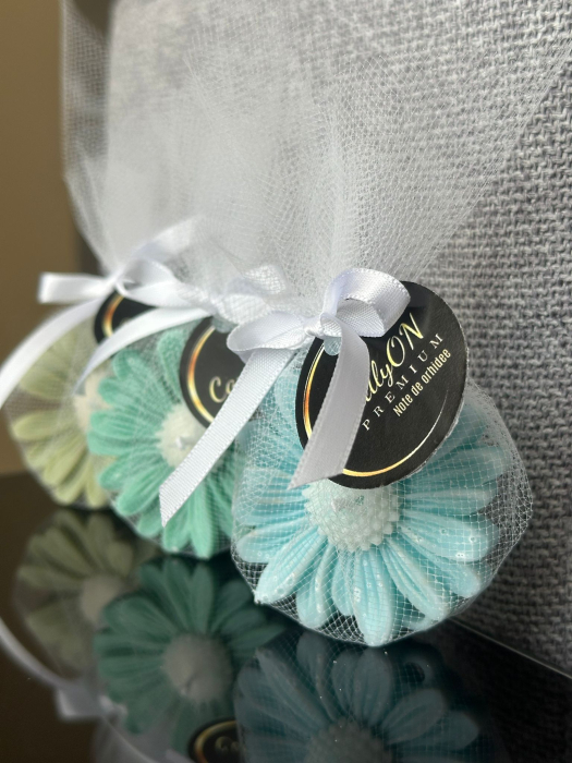 Mărturie Daisy Albastru / Cadou [2]