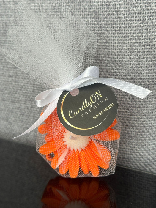 Mărturie Daisy portocaliu / Cadou [2]