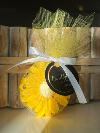 Mărturie Daisy Galben / Cadou [3]