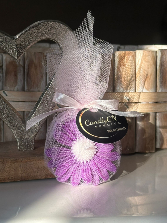 Marturii - Mărturie Daisy Mov / Cadou