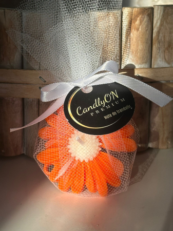 Mărturie Daisy portocaliu / Cadou [2]