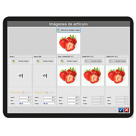 Licenta software Complet Multiple DFS + DLD [3]