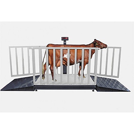 Platforma de cantarire animale vii, inox, cu indicator, 300 kg [2]