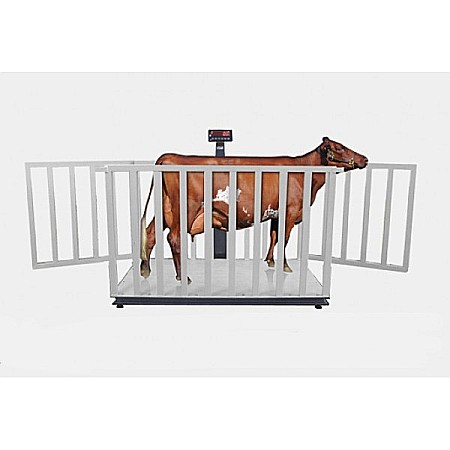 Cantare Platforma Animale - Platforma de cantarire animale vii, inox, cu indicator, 3000 kg