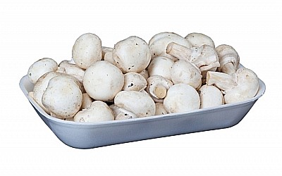 Tavite Standard Polistiren P2238, 240x156x42 mm, 200buc. [2]