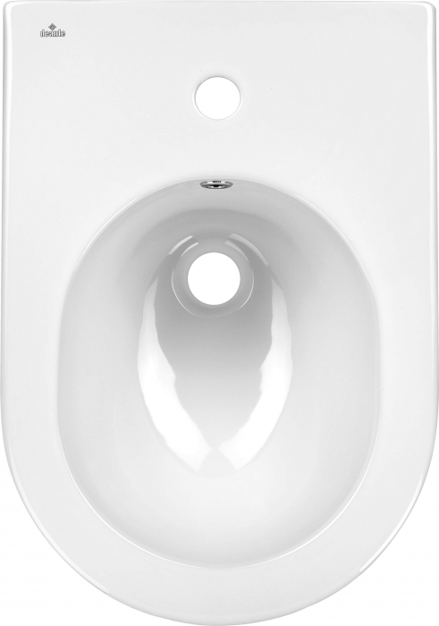 Bideu, montare pe perete [2]