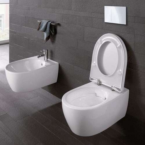 BIDEU SUSPENDAT ICON  [5]