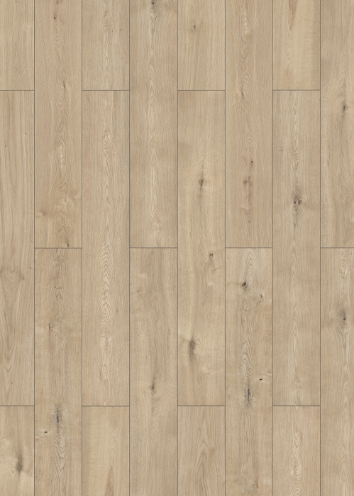 Parchet laminat Classen clasa AC5, 8 mm Charm 4V WR Rochester Oak [2]