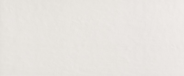 Faianta rectificata Fap Ceramiche Milano&Mood 50 x 120 cm, Ghiaccio Matt, 1.8 mp/cutie [1]