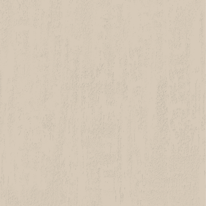 jeger-efect-crudo-dust-vopsea-decorativa-minerala-mata.jpg [2]