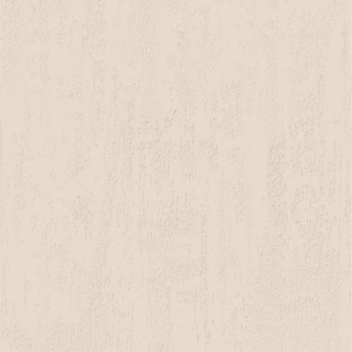 jeger-efect-crudo-fog-vopsea-decorativa-structurata.jpg [3]