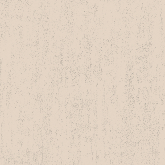 jeger-efect-crudo-italian-vopsea-decorativa-structurata.jpg [2]
