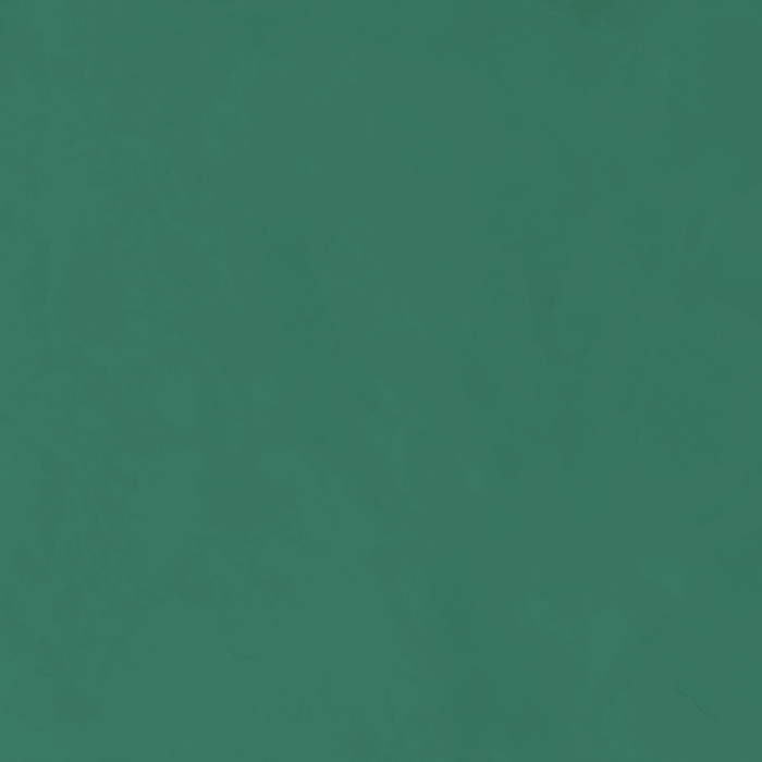 jeger-efect-stiuk-dark-green-vopsea-decorativa-2l.jpg [3]