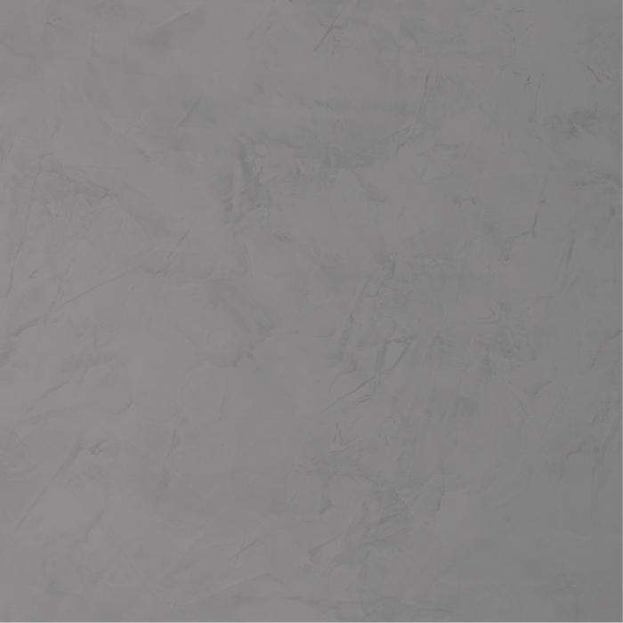 jeger-efect-stiuk-gray-vopsea-decorativa-2l.jpg [3]