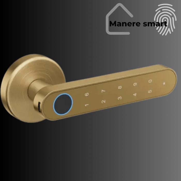 mâner smart Hong Kong cu amprentă digitală, cod PIN, bluetooth – smart lock interior pentru uși,culoare auriu mat [2]