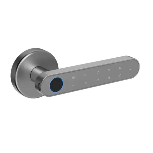 maner inteligent Hong Kong gri mat cu amprenta bluetooth wifi tuya maneresmart.ro [1]